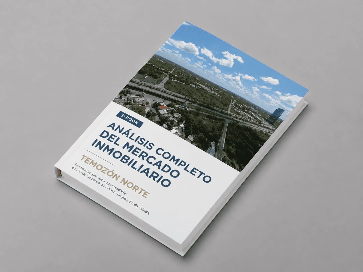 Ebook Temozón Norte